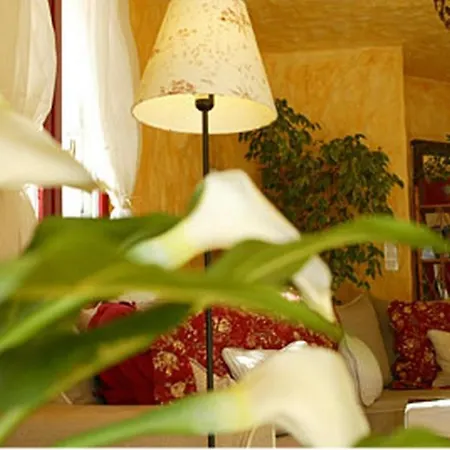 Maya קבלייר-סור-מר