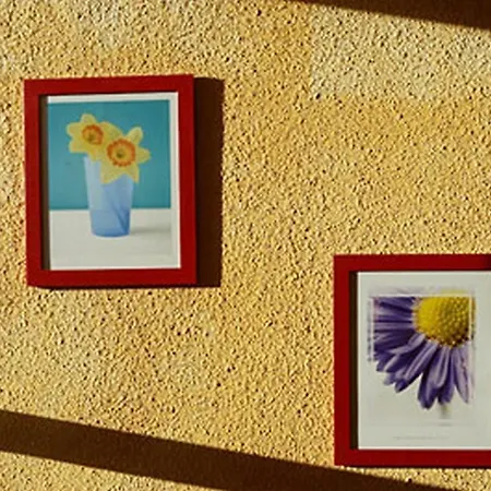 Maya 2*
